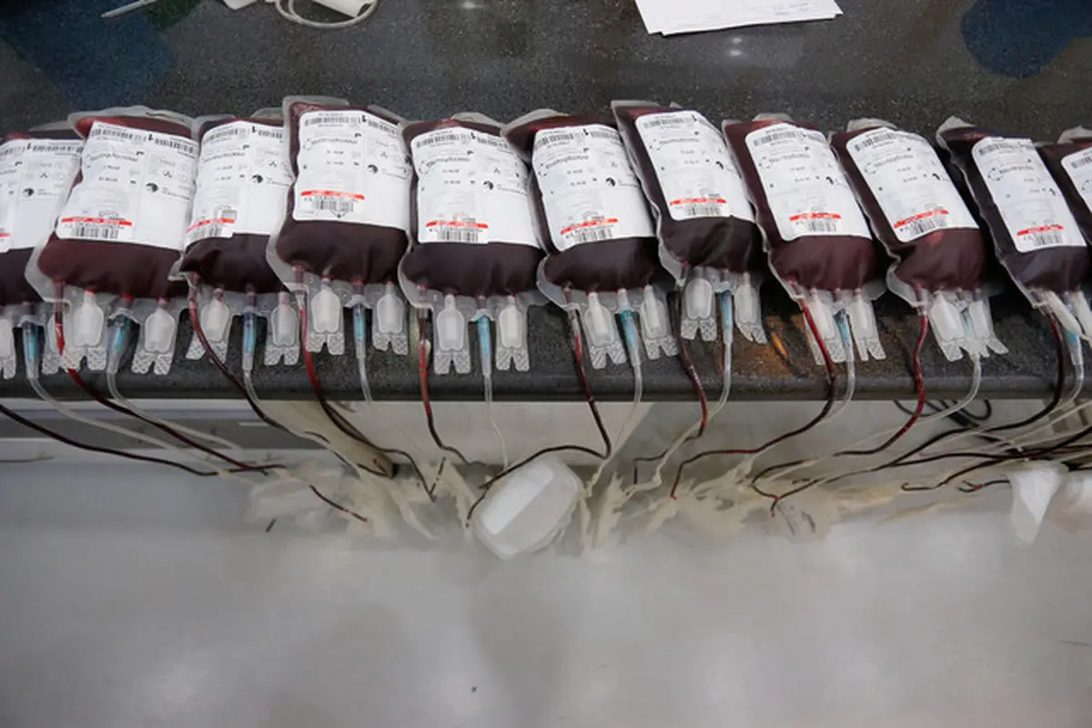  ۵۲ میلیون واحد خون| اهدای ۵۲ میلیون واحد خون طی ۴۶ سال/ قدم سازمان انتقال خون برای پلاسمادرمانی کرونایی ها