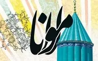 حکایتهای زیبا و خواندنی از مولانا | کشتی رانی مگس !