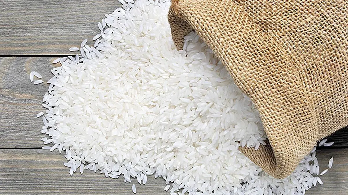 برخی از کاربردهای برنج که احتمالا نمی‌دانید+ویدئو 