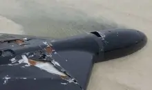 سرنگونی پهپاد لوکاس آمریکایی توسط پدافند ارتش