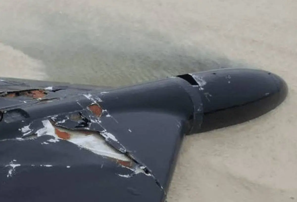 سرنگونی پهپاد لوکاس آمریکایی توسط پدافند ارتش