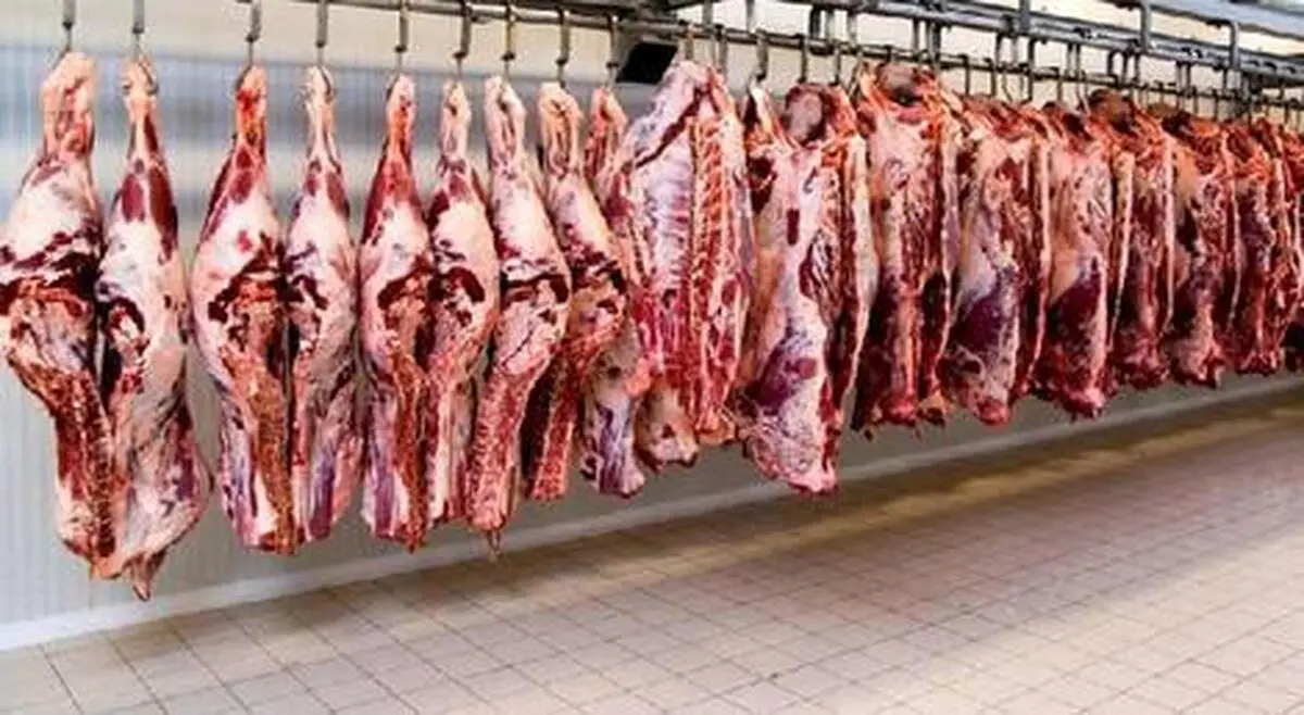 گوشت ۲۳۰ هزار تومانی وارد بازار شد؟
