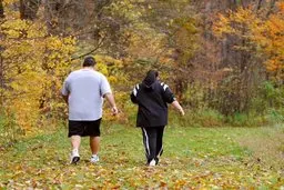 چرا در فصل پاییز سوخت و ساز بدن تغییر می کند و ما چاق می شویم؟