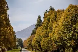 افزایش دمای تهران