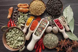 10 گیاه دارویی که حکم آنتی بیوتیک را دارند | از مصرف آنها غافل نشوید