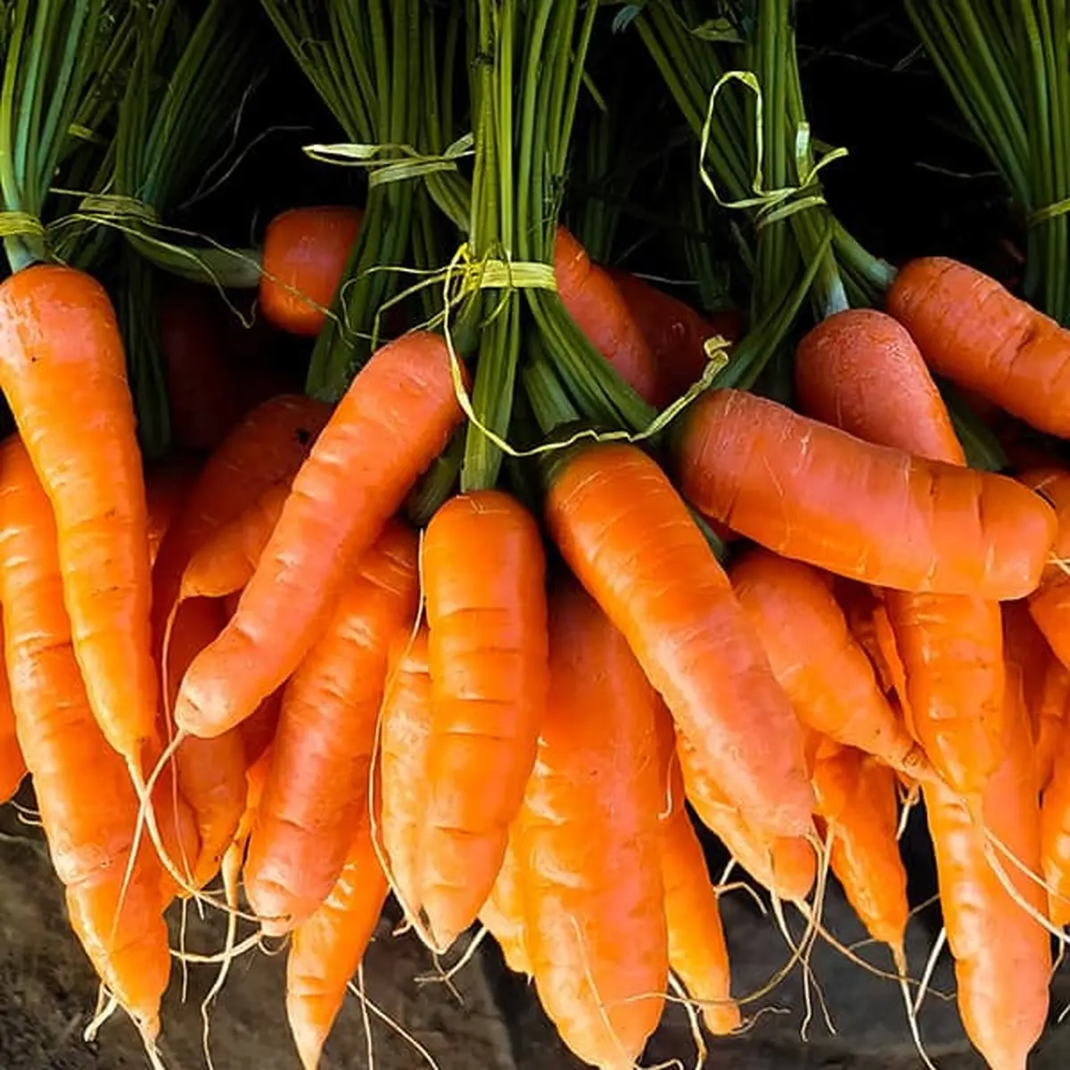 با این روش ساده تا مدت ها هویج رو سالم نگه دار! | روش نگهداری طولانی مدت هویج +ویدئو