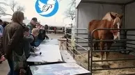 بلندقدترین اسب جهان در 20 سالگی تلف شد