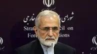 درخواست مهم رئیس شورای راهبردی سیاست خارجی ایران از عربستان و ترکیه