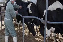 
تب برفکی در اردبیل مشاهده شد