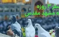 برنامه سفر 3 روزه به مشهد (با جزئیات و نکات مهم)