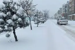 موج سرما و بارش برف در راه است | کاهش محسوس دما در بیشتر مناطق کشور