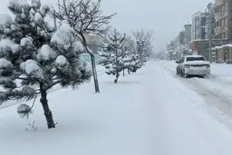 موج سرما و بارش برف در راه است | کاهش محسوس دما در بیشتر مناطق کشور