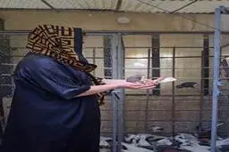 عشق بازی زنان با کفتران+تصاویر| تصاویر خیره کننده از زنان کفترباز

