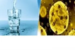  دلیل آبفا برای رد شایعه انتقال کرونا از بهشت زهرا به آب شهری