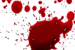 قتل طلاساز تهرانی در بهارستان با 2 گلوله