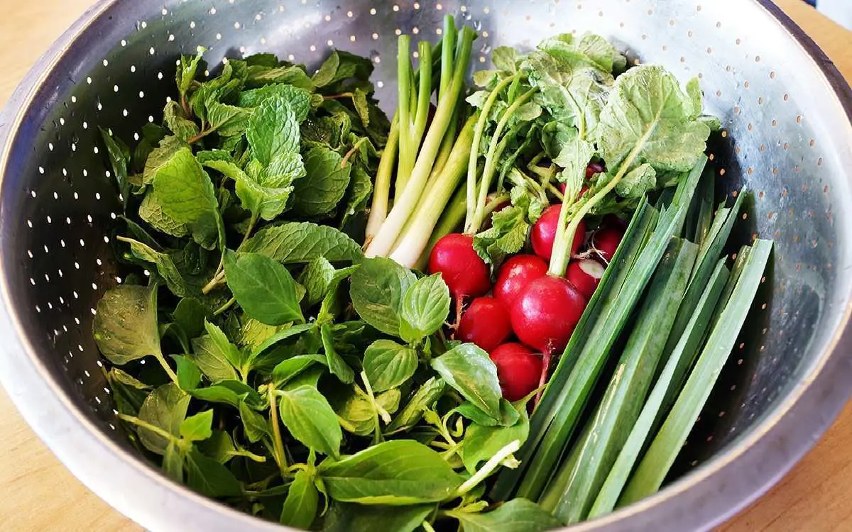 راز تازه نگه داشتن سبزی خوردن برای مدت طولانی