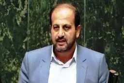 واردات گندم توسط حجاریان در سایه یک تصمیم ضدملی صورت گرفته است