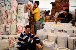 رصد بازار کالاهای اساسی در اولویت بازرسی‌ها