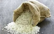 ذخایر برنج وارداتی بخش خصوصی نزدیک به صفر | برنج در برخی کشورها خوراک دام شد