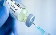 
استقبال صلیب سرخ از پیشنهاد هلال احمر ایران برای اهدای واکسن برکت به کشورهای نیازمند
