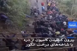 روستاییان هندی با شاخه‌های انگور کامیونی را از یک دره بیرون آوردند + ویدئو