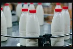 قیمت لبنیات افزایش می‌یابد؟
