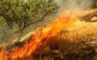  آتش سوزی در جنگل های لویزان تهران مهار شد