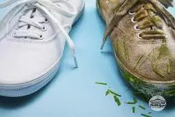 چند آیتم برای تمیز کردن کفش کتانی سفید