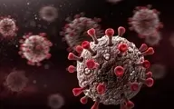 
 شدت قدرت ویروس دلتا در تخریب سلول‌های بدن بیمارمشخص شد