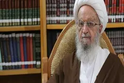 آیت‌الله مکارم‌شیرازی |  با رعایت پروتکل‌های بهداشتی عزاداری محرم و صفر برگزار میشود