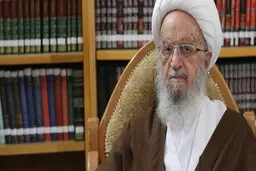 آیت‌الله مکارم‌شیرازی |  با رعایت پروتکل‌های بهداشتی عزاداری محرم و صفر برگزار میشود