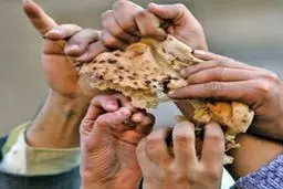 واکنش وزارت بهداشت به ویدیوی آثار آرد نامرغوب بر دستان نانوا