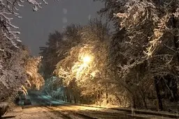 بارش برف و باران در تهران از سه‌شنبه  | کاهش دما تا ۱۰ درجه