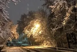 بارش برف و باران در تهران از سه‌شنبه  | کاهش دما تا ۱۰ درجه