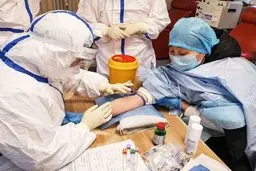  دکتر «آندرز تنگل : مصونیت در برابر کرونا شش ماه طول می کشد 
