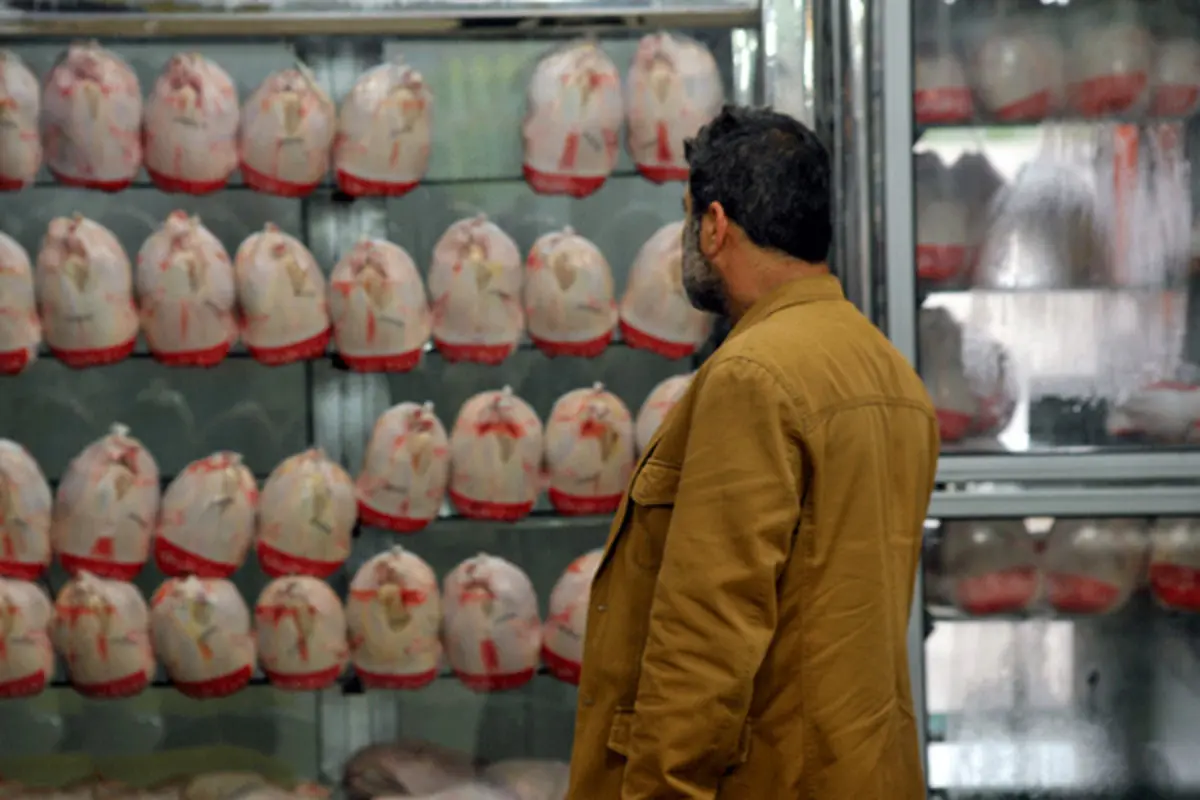 کمبود مرغ و افزایش سرسام آور قیمت آن در مشهد