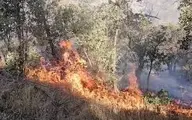 
جنگل ها و مراتع  دوباره آتش گرفتند
