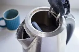 با یدونه سیب زمینی جرم کتری رو نابود کن! | روش از بین بردم جرم کتری در خانه