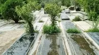 بی معنی ترین سنگ قبر دنیا در بهشت زهرا تهران! | چرا باید یه سنگ قبر انقدر عجیب باشه؟ + ویدئو