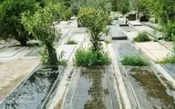 بی معنی ترین سنگ قبر دنیا در بهشت زهرا تهران! | چرا باید یه سنگ قبر انقدر عجیب باشه؟ + ویدئو