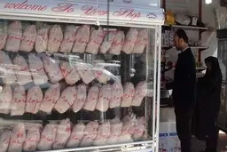  قیمت مرغ به ۳۳ هزار و ۵۰۰ تومان رسید
