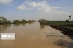  هواشناسی  |  سیلابی شدن کارون و مارون و دز
