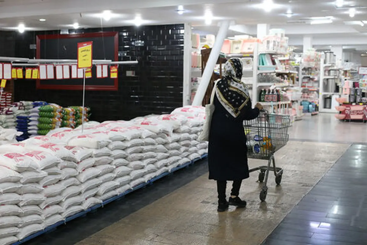 سقوط عجیب قیمت برنج ایرانی | برنج ارزان خارجی و ایرانی در دسترس