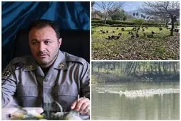 انتقال موقت پرندگان باغ پرندگان لویزان به مازندران برای حفاظت در شرایط جنگی