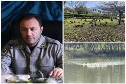 انتقال موقت پرندگان باغ پرندگان لویزان به مازندران برای حفاظت در شرایط جنگی