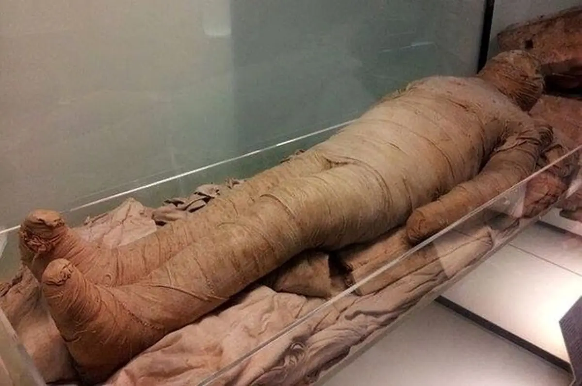 کشف مومیایی عجیب در مصر | کشف مومیایی در سقاره مصر با قدمت میلیون ساله + ویدئو