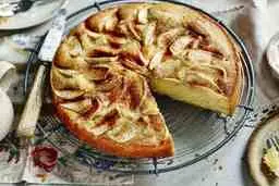 اگه هوس کیک کردی و رژیمی این کیک رو بپز | طرز تهیه کیک رژیمی سیب و دارچین +ویدئو