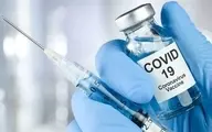 گلایه جهانپور از افزایش قیمت غیرواقعی واکسن| جهانپور: چرا واکسن 4 دلاری تا 50دلار فاکتور شده!

