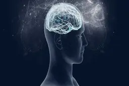  میوه پاییزیی که شفابخش ذهن است