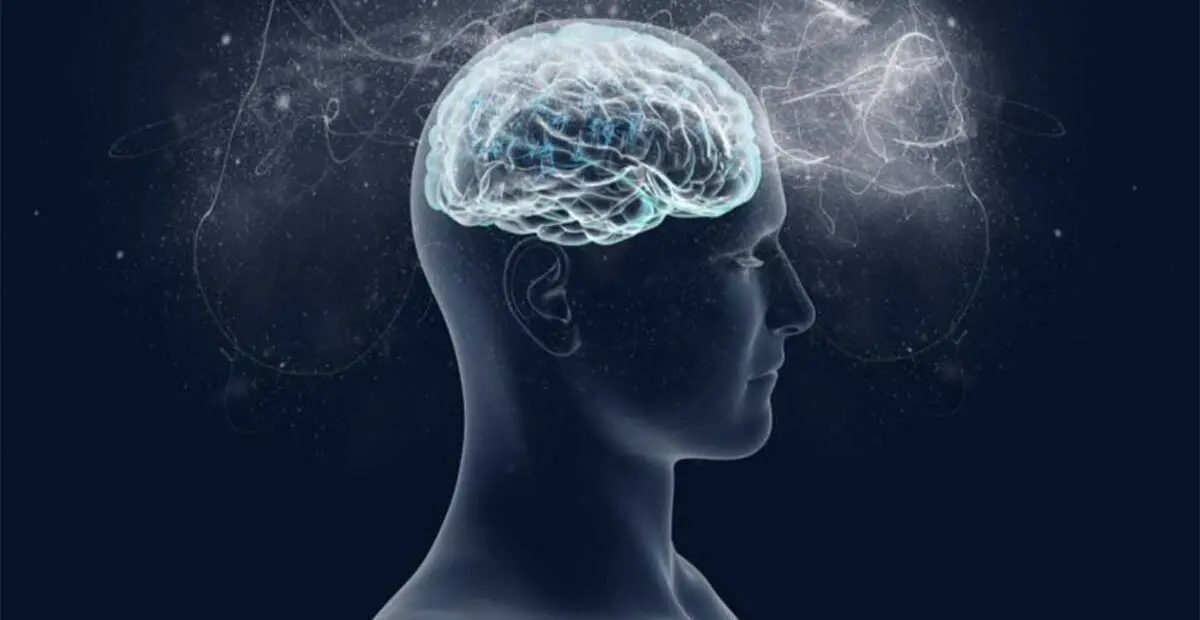  میوه پاییزیی که شفابخش ذهن است